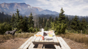 FarCry 5